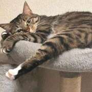 ヒメ日記 2025/10/30 09:43 投稿 あいな 府中ダービー