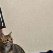 ヒメ日記 2025/11/06 19:23 投稿 あいな 府中ダービー