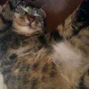 ヒメ日記 2025/11/07 00:33 投稿 あいな 府中ダービー