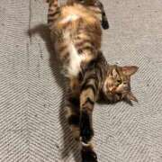 ヒメ日記 2025/11/07 09:43 投稿 あいな 府中ダービー