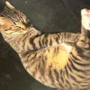 ヒメ日記 2025/11/07 12:40 投稿 あいな 府中ダービー