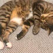 ヒメ日記 2025/11/21 09:45 投稿 あいな 府中ダービー