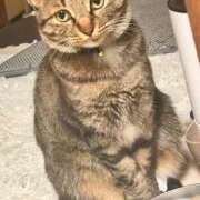 ヒメ日記 2025/11/22 00:33 投稿 あいな 府中ダービー