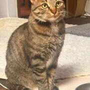 あいな おはようございます！ 府中ダービー