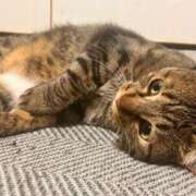 あいな こんにちは！ 府中ダービー