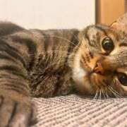 ヒメ日記 2025/12/09 09:43 投稿 あいな 府中ダービー