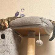 ヒメ日記 2025/12/09 12:23 投稿 あいな 府中ダービー