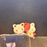 ヒメ日記 2025/12/11 00:43 投稿 あいな 府中ダービー