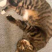 ヒメ日記 2025/12/18 12:23 投稿 あいな 府中ダービー