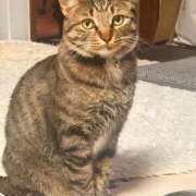 ヒメ日記 2025/12/22 12:03 投稿 あいな 府中ダービー