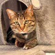 ヒメ日記 2026/01/05 11:43 投稿 あいな 府中ダービー