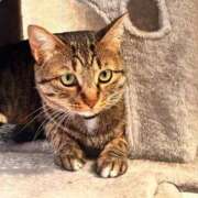 ヒメ日記 2026/01/05 16:23 投稿 あいな 府中ダービー