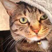 ヒメ日記 2026/01/05 23:33 投稿 あいな 府中ダービー