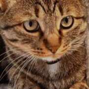 ヒメ日記 2026/01/26 09:48 投稿 あいな 府中ダービー