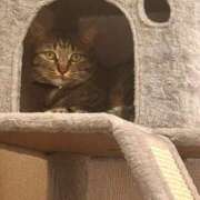 ヒメ日記 2026/01/27 09:48 投稿 あいな 府中ダービー