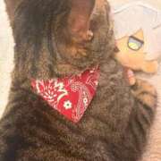 ヒメ日記 2026/02/06 17:53 投稿 あいな 府中ダービー