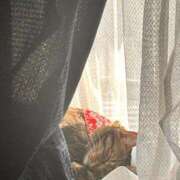 ヒメ日記 2026/03/12 19:23 投稿 あいな 府中ダービー