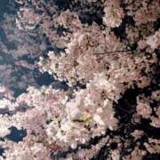 ヒメ日記 2026/04/07 19:09 投稿 あいな 府中ダービー