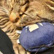 ヒメ日記 2026/04/08 12:48 投稿 あいな 府中ダービー