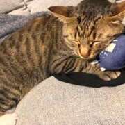 ヒメ日記 2026/04/08 16:34 投稿 あいな 府中ダービー