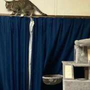 ヒメ日記 2026/04/14 13:22 投稿 あいな 府中ダービー