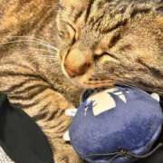 あいな おはようございます！ 府中ダービー