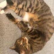 ヒメ日記 2026/09/27 00:58 投稿 あいな 府中ダービー