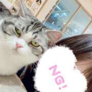 ヒメ日記 2025/03/01 10:19 投稿 ふうか 西船巨乳ぽっちゃり　乳神さま