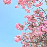 ヒメ日記 2026/02/03 15:13 投稿 まな 府中ダービー