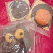 ヒメ日記 2025/10/26 19:13 投稿 のばら 府中ダービー