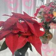 ヒメ日記 2025/11/12 00:38 投稿 はつね 府中ダービー