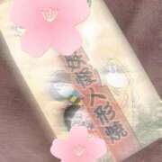 ヒメ日記 2026/01/19 19:53 投稿 はつね 府中ダービー