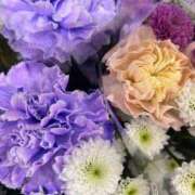 ヒメ日記 2026/02/18 20:33 投稿 はつね 府中ダービー