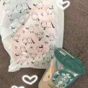 ヒメ日記 2026/03/06 08:03 投稿 はつね 府中ダービー