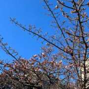 ヒメ日記 2026/01/07 17:53 投稿 みさと 府中ダービー