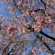 ヒメ日記 2026/03/11 02:03 投稿 みさと 府中ダービー