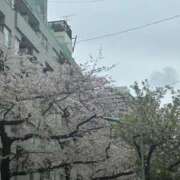 ヒメ日記 2026/04/01 09:50 投稿 さやか 府中ダービー