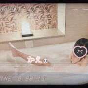 ヒメ日記 2025/03/13 00:12 投稿 かえ 千葉人妻花壇