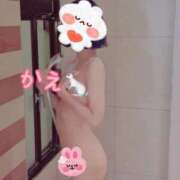 ヒメ日記 2025/04/30 20:07 投稿 かえ 千葉人妻花壇