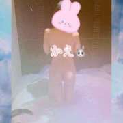 ヒメ日記 2025/08/09 15:57 投稿 かえ 千葉人妻花壇