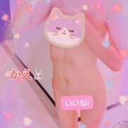 ヒメ日記 2025/08/17 02:35 投稿 かえ 千葉人妻花壇