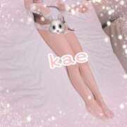 ヒメ日記 2025/11/03 01:09 投稿 かえ 千葉人妻花壇