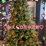 ヒメ日記 2025/11/29 01:13 投稿 かえ 千葉人妻花壇