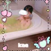 ヒメ日記 2026/02/05 03:07 投稿 かえ 千葉人妻花壇