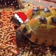 ヒメ日記 2025/11/08 14:51 投稿 いろは 水戸角海老