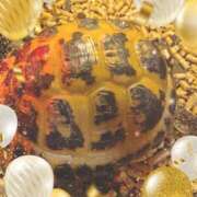 ヒメ日記 2025/11/09 22:21 投稿 いろは 水戸角海老