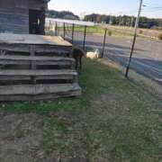 ヒメ日記 2025/11/22 23:01 投稿 いろは 水戸角海老