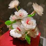 ヒメ日記 2025/11/23 21:21 投稿 いろは 水戸角海老