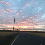 ヒメ日記 2025/12/21 21:31 投稿 いろは 水戸角海老