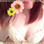 さくら NoTitle 水戸角海老